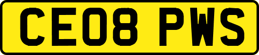CE08PWS