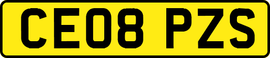 CE08PZS