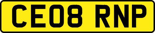 CE08RNP