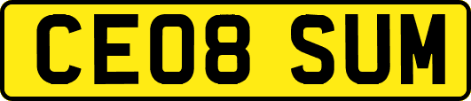 CE08SUM