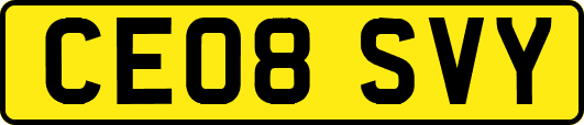 CE08SVY