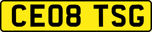 CE08TSG