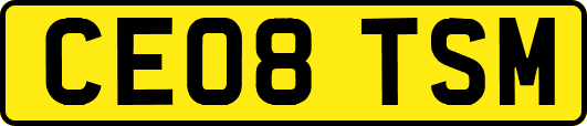 CE08TSM