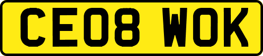 CE08WOK