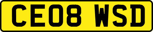 CE08WSD