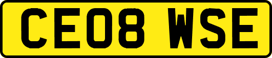 CE08WSE
