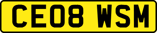 CE08WSM