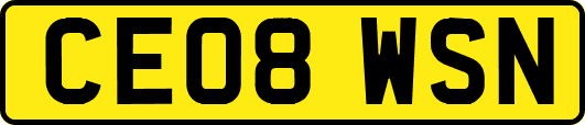 CE08WSN