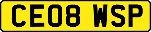 CE08WSP