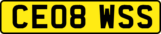 CE08WSS