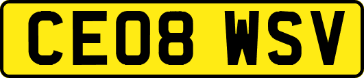 CE08WSV
