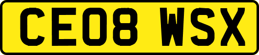 CE08WSX