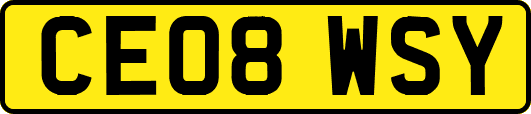 CE08WSY