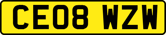 CE08WZW