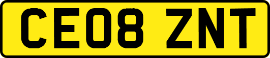 CE08ZNT