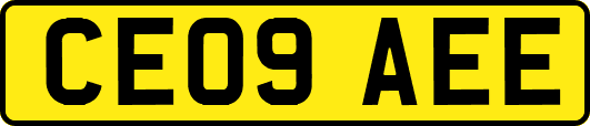 CE09AEE