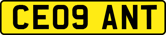 CE09ANT