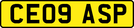 CE09ASP