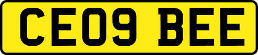 CE09BEE