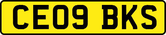 CE09BKS