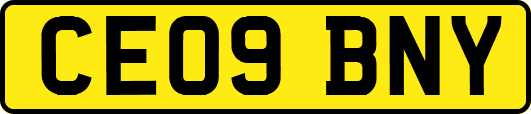 CE09BNY