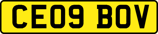 CE09BOV