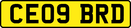 CE09BRD