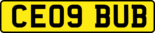 CE09BUB