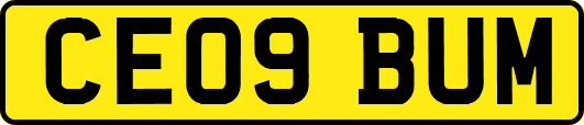 CE09BUM