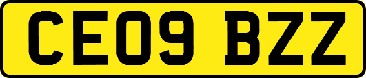 CE09BZZ