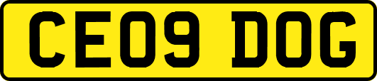 CE09DOG