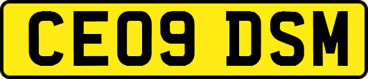 CE09DSM
