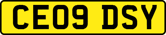 CE09DSY