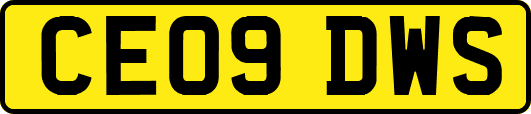 CE09DWS