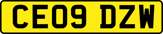 CE09DZW