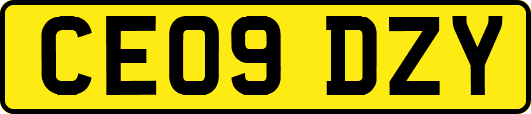 CE09DZY