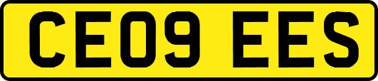 CE09EES