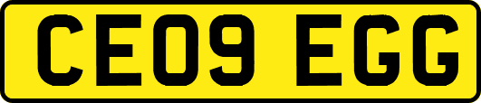 CE09EGG
