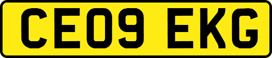 CE09EKG