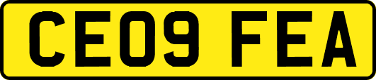 CE09FEA
