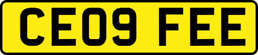 CE09FEE