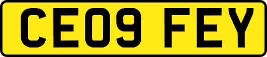 CE09FEY