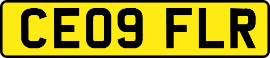 CE09FLR