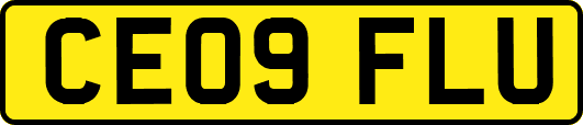 CE09FLU
