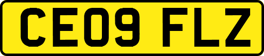 CE09FLZ