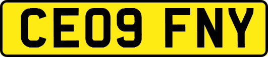 CE09FNY