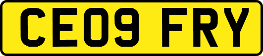 CE09FRY