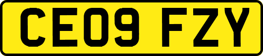 CE09FZY