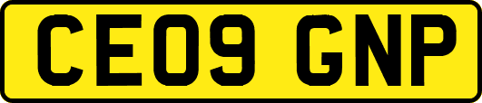 CE09GNP