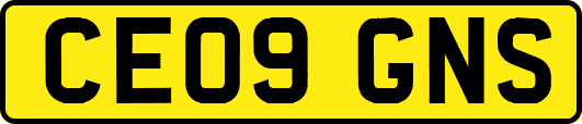 CE09GNS